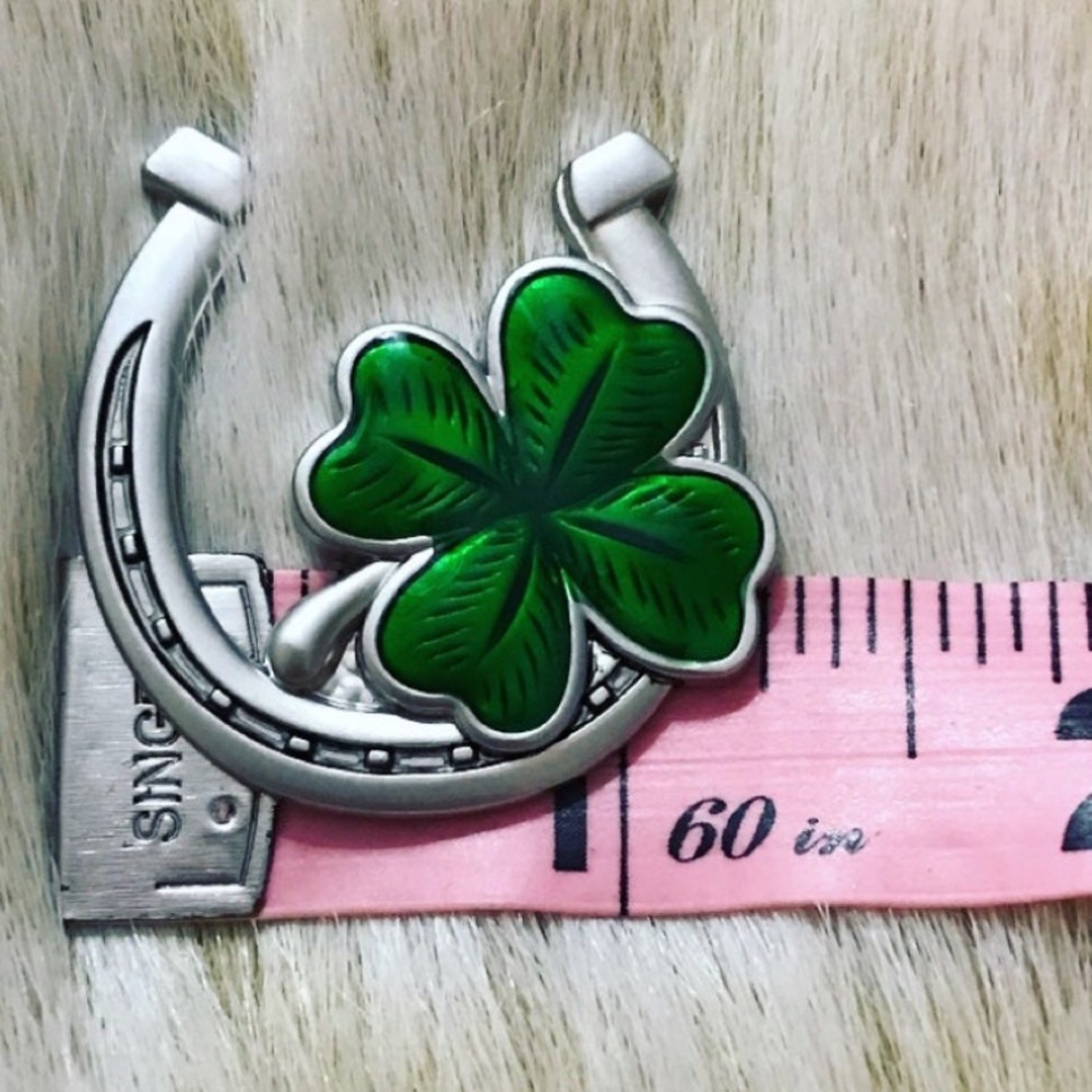 Luck of the Irish Horseshoe and Four Leaf Clover Lucky Charm - Picture 4 of 4